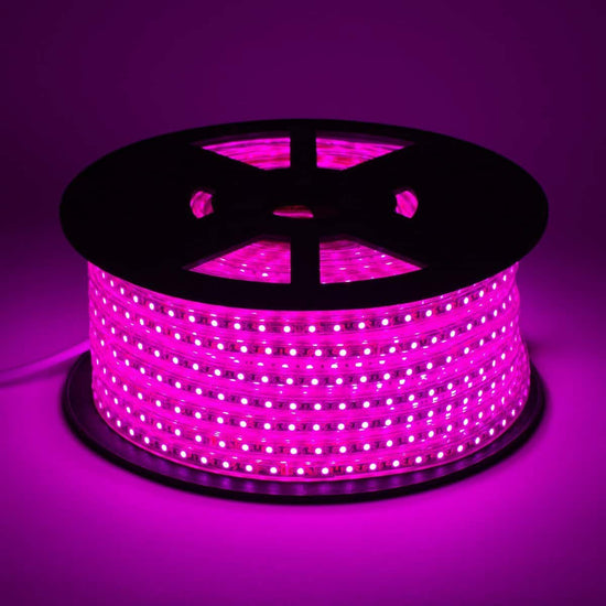 illuminated pink led strip light reel with visible chips