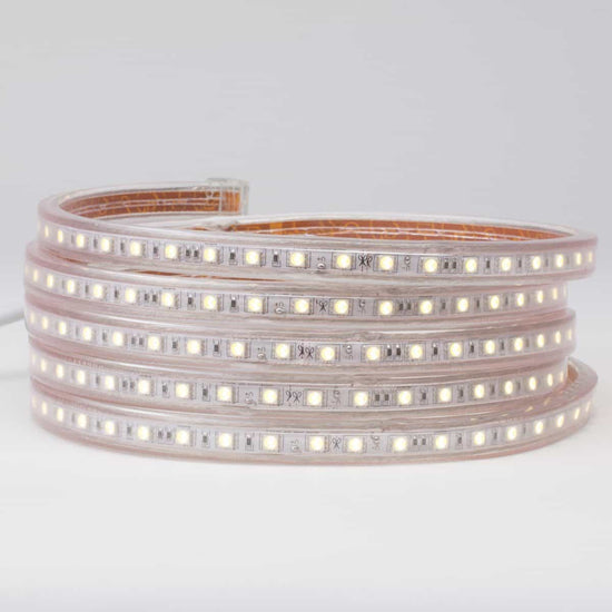 120V led strip lights on white background coiled five times with illuminated white color led chips and cap seal at end