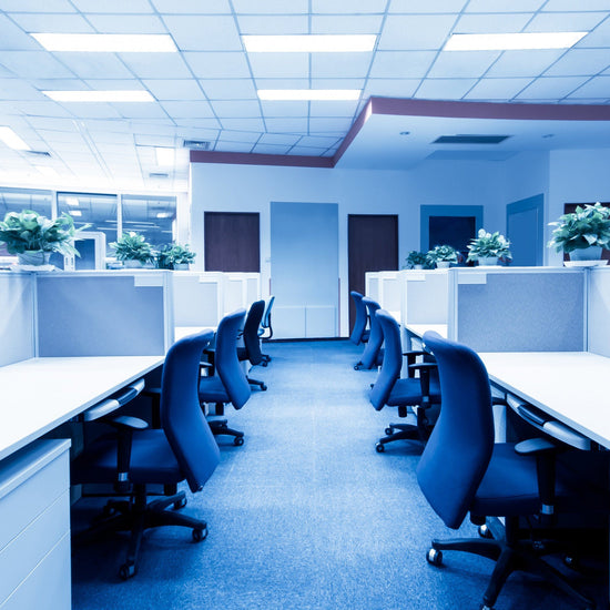 office cubicles illuminated by cool blue light, led flat panels visible in ceiling
